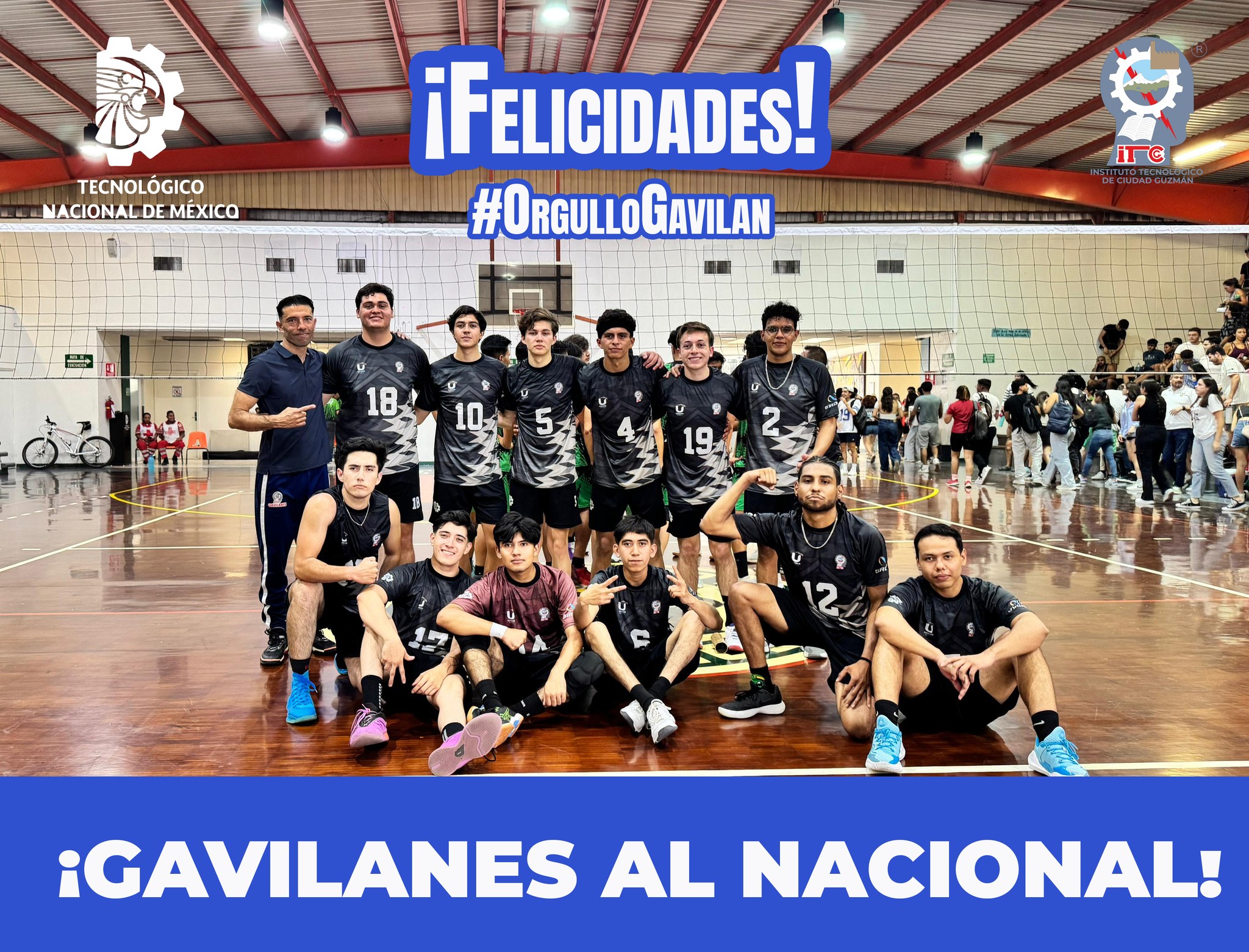 Los Gavilanes lo hacen de nuevo!